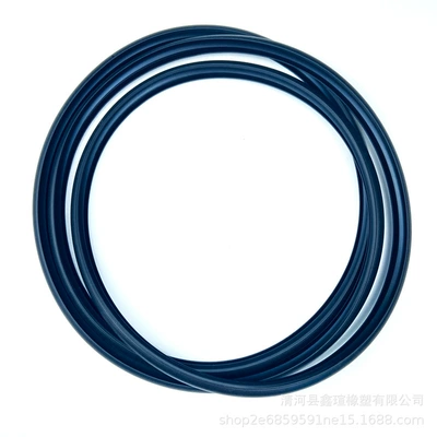 Lexus Es/Gs Sunroof – Vehicle Sealing Strip