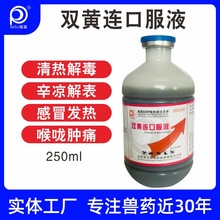 双黄连口服液兽用鸽用兽药清热解毒呼吸道鸟鸽子鹦鹉禽鸡国标正品