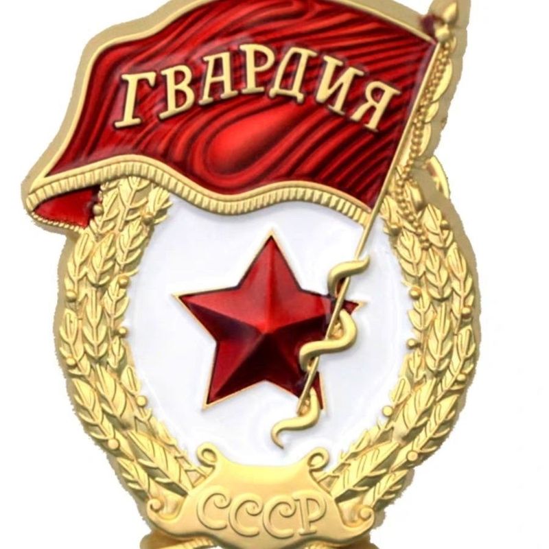国境を越えたソ連の祖国戦争勝利記念勲章ロシアの双バッジの祖国勲章のブローチ卸売り|undefined