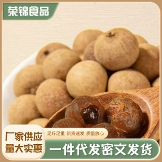 加工带壳桂圆干大果非无核泡水炖汤泡茶新货桂圆核小肉厚干龙眼干