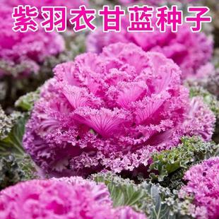 �����¸��{����ˮ���ļ��������M��ϡ���R��ɏ���{����피t�˰���