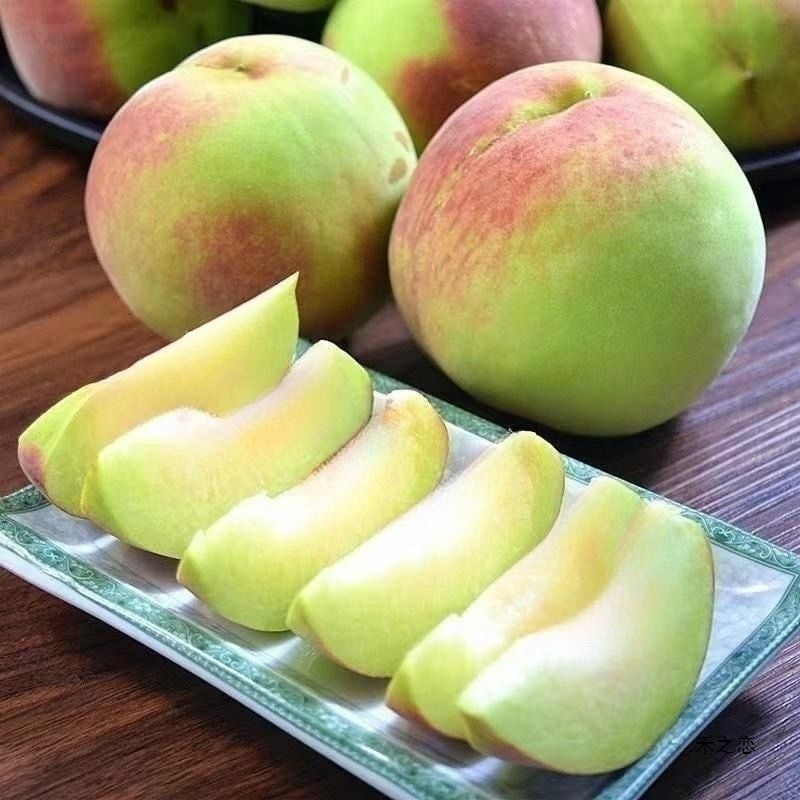 青州蜜桃毛桃脆桃新鲜桃子甜桃青桃硬桃脆甜桃子应季水果非水蜜桃