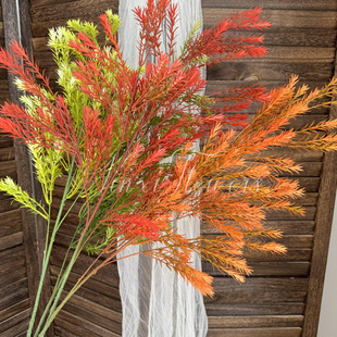 �¿����Gֲǧ�ӽ�ɭϵ�S������c��Y���û��ļҾӿ͏d�[���ٻ�