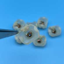 130늙C̼ˢ���w�������܇���@С�R�_���늙C�S������ߺ��~��