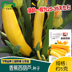 �㽶�S�����J�N�� �r��˵ش��ﲥ�N�׷NƤ��������������J��
