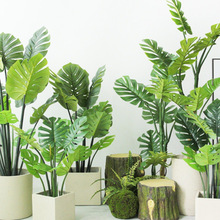 ֲ�b��Ž�����������������OӋ���҃������G�쾰������͙���