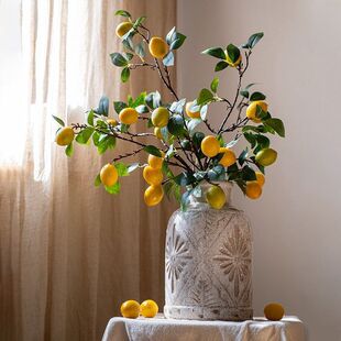 ins�L����Gֲ���ʹ�֦�͏d���������ٻ�ˮ����ˇ��֦�b[��