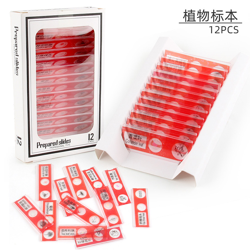 Planta espécimen 12PCs 34,8G