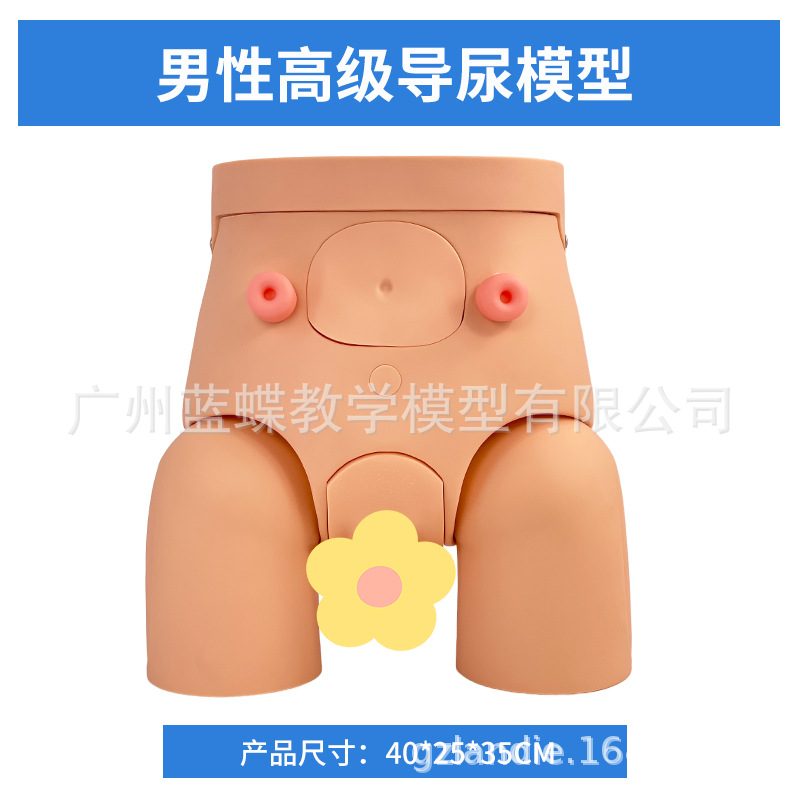 ��Ů��������ֳ�����ʵ���ֱ����ϰģ�ͽ�ѧ��������������ֳϵͳ