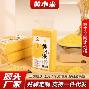 �SС�ב�������С�����S500g����s�Z�|���S��;GɫʳƷ