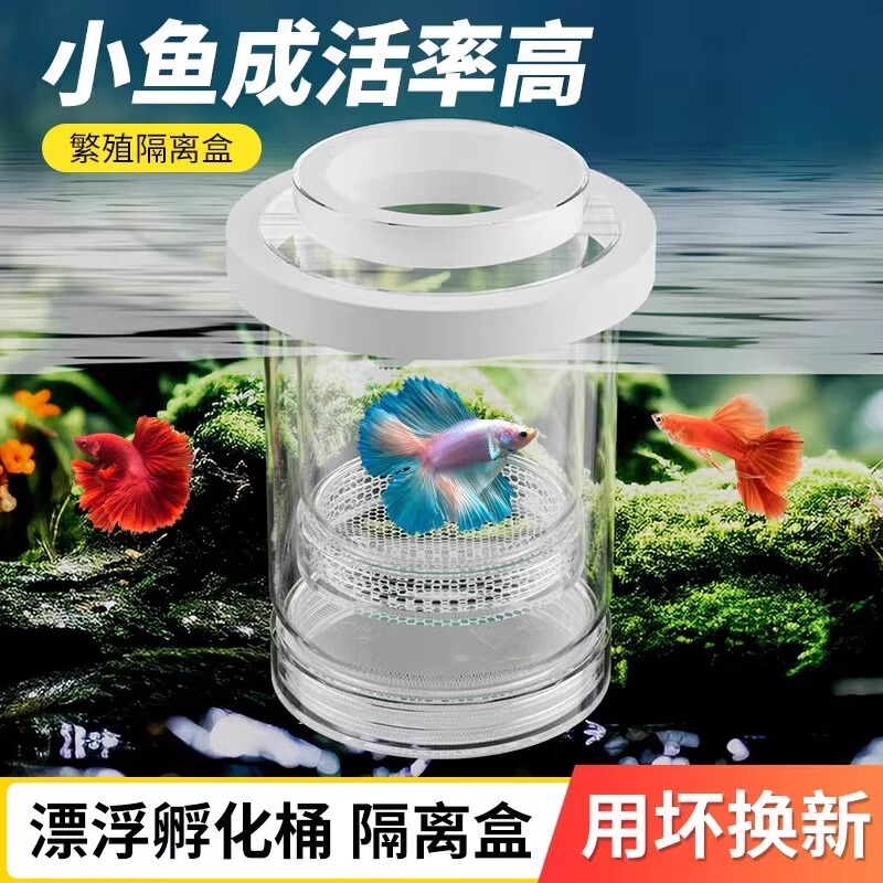 Hatching Box, Juvenile Fish Box, Transparent Breeding Isolation Box, Guppy Fish Tank Partition, Horse Fish Betta Tank Aquarium Supplies