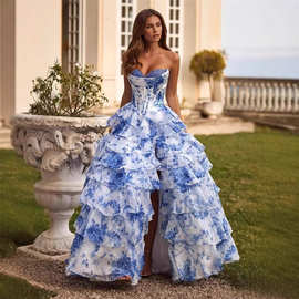 欧美外贸礼服印花抹胸高级感晚礼服亚马逊生日舞会聚会性感长裙女