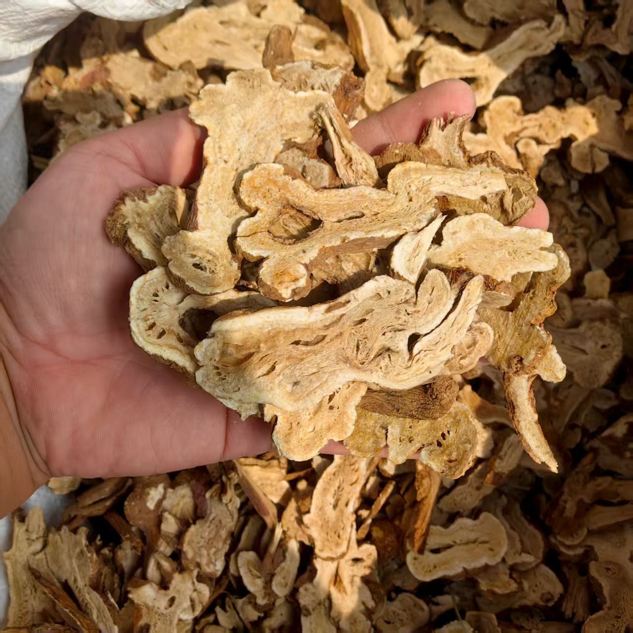 White Atractylodes Rhizome Bai Zhu Sliced Dried Herb 500g for Decoction and Soup quality and texture