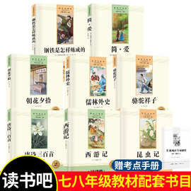 初中七八年级下册人教版课外书朝花夕拾骆驼祥子钢铁是怎样炼成的