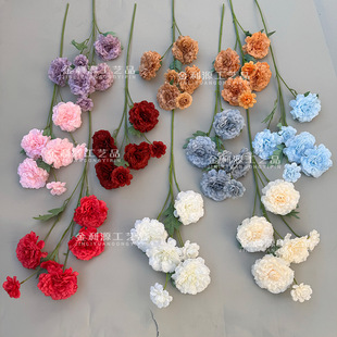 6�^ǧ�Ӿշ��滨��c��Y�����õ��bٻ��羳��֦�ջ�