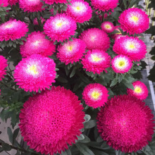 MrлNѴշNӽq ȾջļݷNl