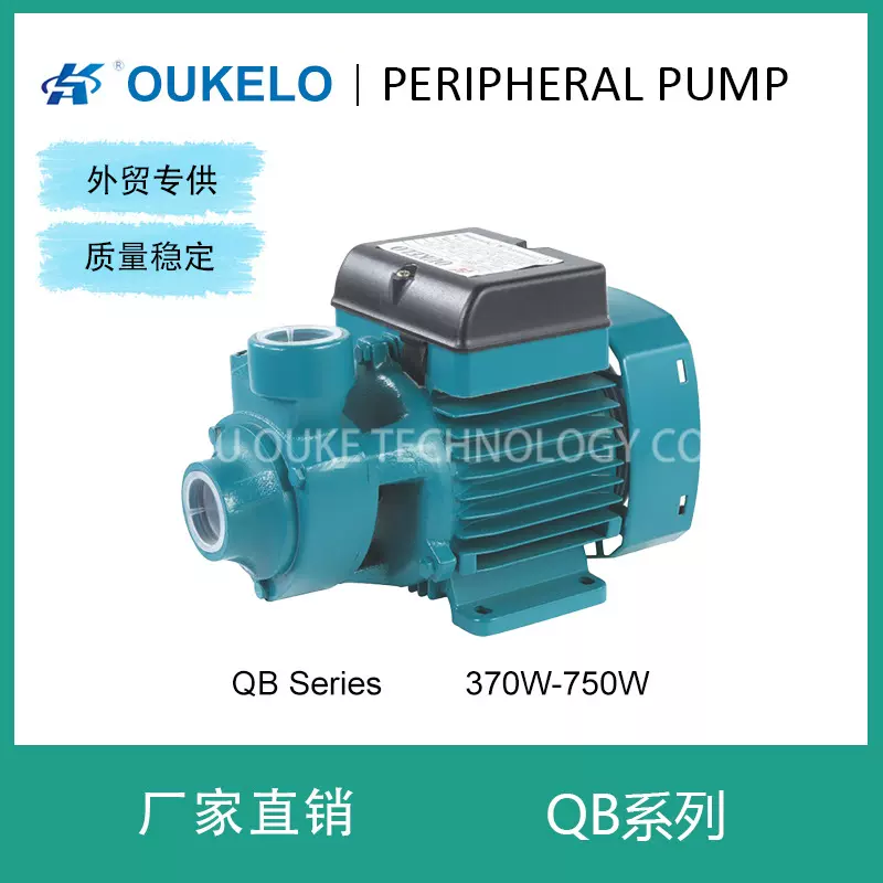 QB外贸厂家定制小型家用增压电动农业灌溉旋涡泵外围泵水循环水泵