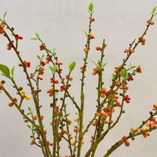 �G��������ܛ�z�𼬹�����ʽ�廨���Ĺ�Ұ�����bٻ�ֲ��