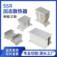 SSR�̑B�^������������X�Ͻ�i��h��y��w��ɢ��������ɢ��Ƭ���w