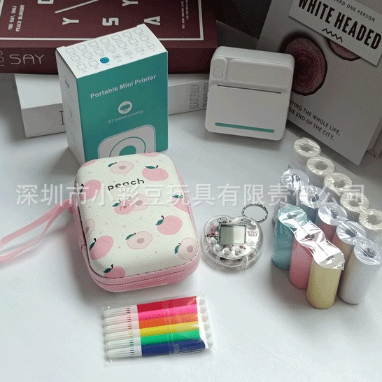 C19 녹색 + 감열지 5개 + 접착지 5개 + 색종이 3개 + 색펜 + 가방 + 전자 애완동물