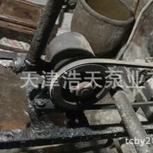 榨油机齿轮泵TDCB-H 香油 花生油 豆油齿轮泵 齿轮油 机油齿轮泵