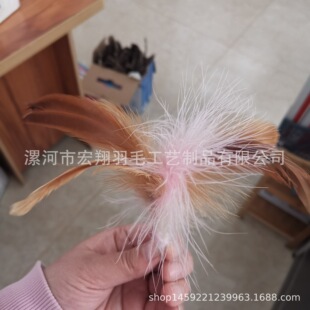 �S��ֱ�N���N��ë����ë�ƷЬ���^����؈����ë�^����o��