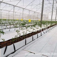 ۱ϩPPNֲ Ҵõrл{ݮݮ߲ o