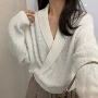 气质小众浣熊蝴蝶毛衣