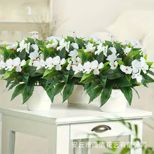 跨境新款凤仙花仿真假花室内装饰户外布置人造假花仿真花春季批发