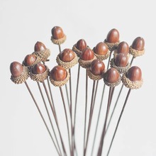 ȻǬ{ɻɹbˇ廨[zӰҰ