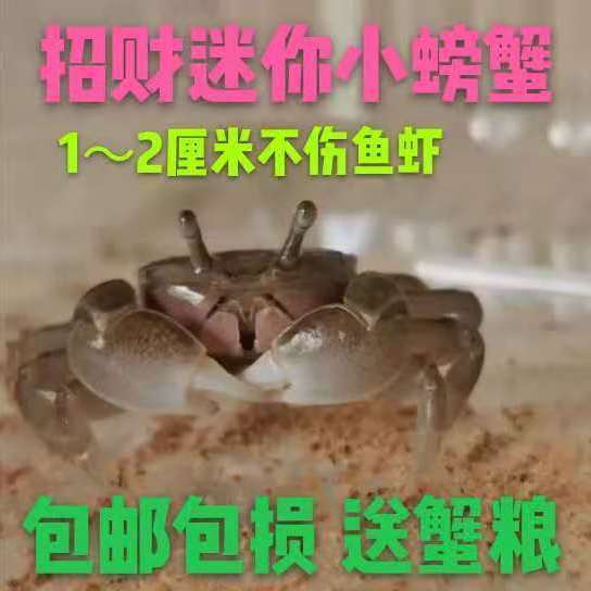 daa1a29d67e22aa8873d9114183f28