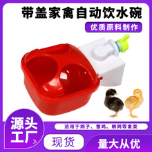 雏鸡塑料家禽自动饮水碗新款鹌鹑带盖鸡喂水饮水器鸽子饮水杯加厚