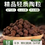 养花多肉水培种植陶土