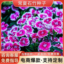 ����ʯ��N�ӵر��^���ֲ��N��ʯ�񻨻ܷN���׷N�G�������ݷN��