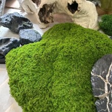 ��������̦�\��ƺ ܛ�b���쾰�bGֲ��΢���^�ٲ�Ƥ�����