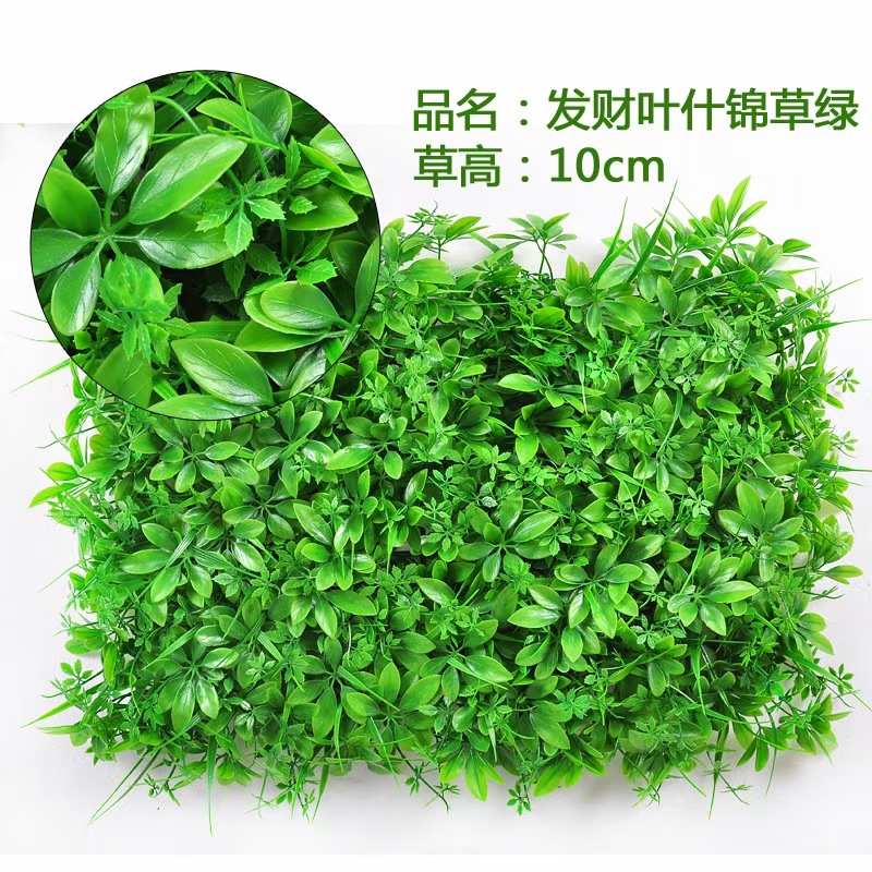 mmexport1646895796397