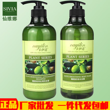 ����ɏ�ϙ�ϴ�lˮ��ԡ¶���b��Ʒ�ɾS��ϴ�lˮ�̝�ȥм�S�����l