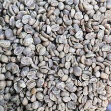 云南AA级咖啡生豆新产季卡蒂姆咖啡豆精品水洗保山商用豆工厂批发