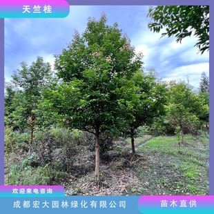 ���l���ù�����ֱ�l�ؗUȫ��Ҏ���Rȫ�����е����ļ����G��ľ