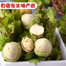 甄好货20新鲜带绿皮大榛子水仁水瓤新鲜采摘青皮大榛子脱皮榛子新