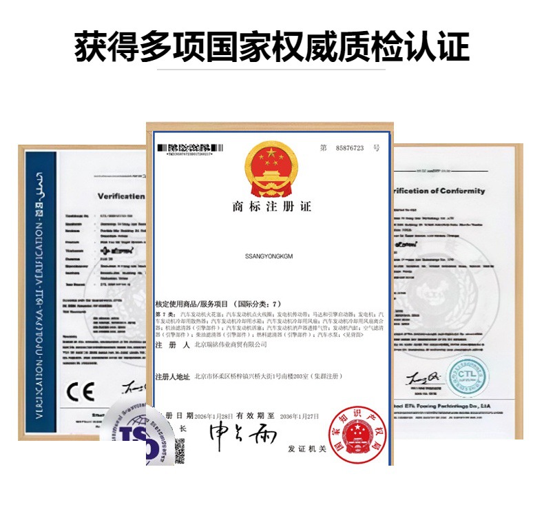 1610104108 Overhaul Kit Shanghai Huizhong MB100 Ssangyong ACTYON KYRON Engine