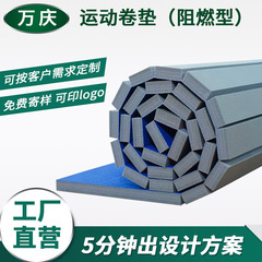 拳击摔跤地卷垫武术散打训练垫搏击柔术柔道垫子跆拳道管体适能垫