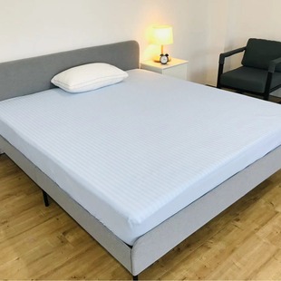 Summer Cooling Bed Sheet Ice Silk Cooling Mat Pillow Cushion