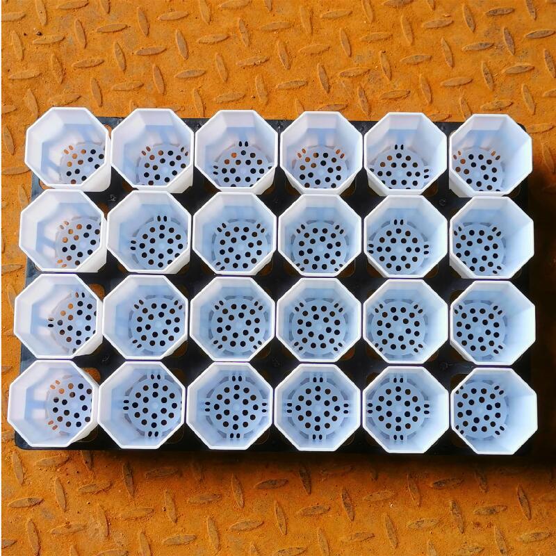 多肉植物の植木鉢、厚みのある大小の八角形の植木鉢、プラスチック卸売家庭用鉢植え葉挿し苗ポット、直販卸売|undefined