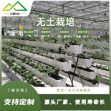 无土栽培椰糠条 温室大棚无土栽培种植槽 校园科普 温室工程承包