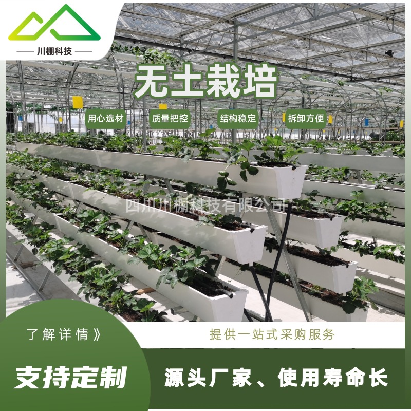 无土栽培椰糠条 温室大棚无土栽培种植槽 校园科普 温室工程承包