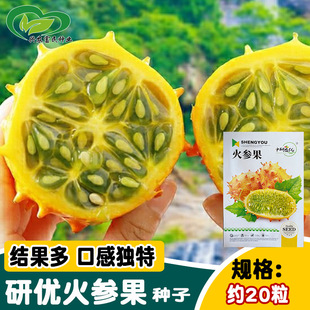 �Ѓ��������N�� �����Ϸ�ˮ���ڸ�����ó�ˮ���� �ˈ@�r���̨��