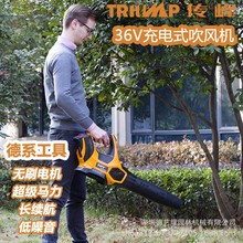 ����/�|�}TPBL3605���ʽ���L�C����ʽ�L�C 36V�������C�����C