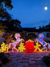 2026���괺���ò���ꐾ��^�V���Շ������R�����w�b����쉾����