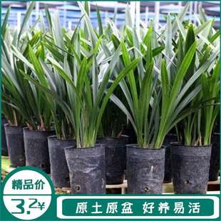 ���������ؼ��m�����ߙn�m����ī�m��ڝ������m���ļ����B����